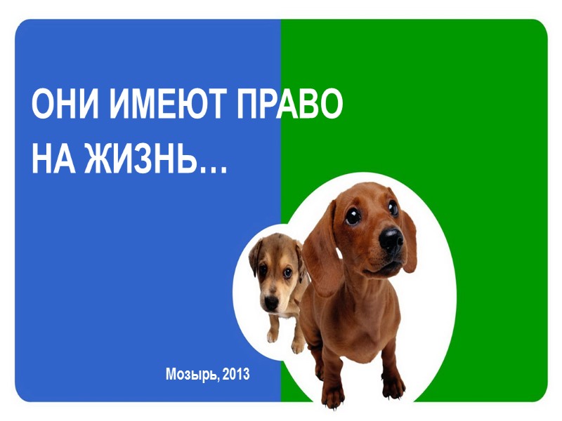 ОНИ ИМЕЮТ ПРАВО НА ЖИЗНЬ… Мозырь, 2013